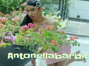 Antonellabarbie
