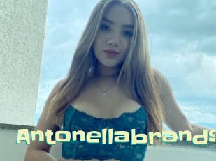 Antonellabrands