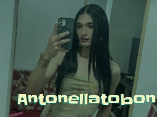 Antonellatobon