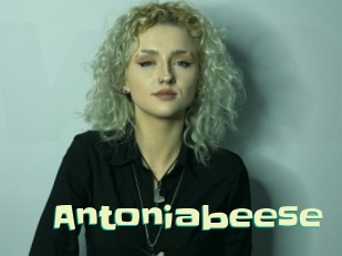 antoniabeese Wanna Meet