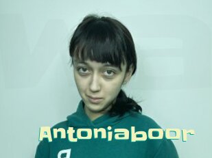 Antoniaboor