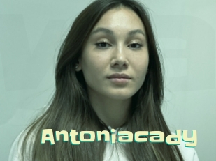 Antoniacady