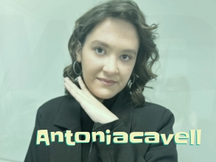 Antoniacavell