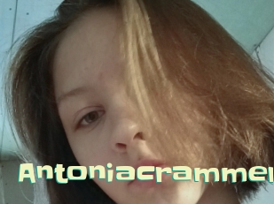 antoniacrammer Wanna Meet