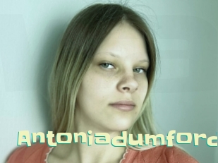 Antoniadumford