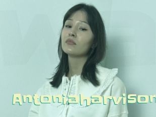 Antoniaharvison