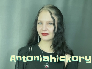 Antoniahickory