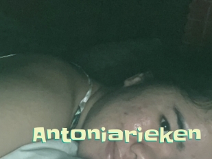 Antoniarieken