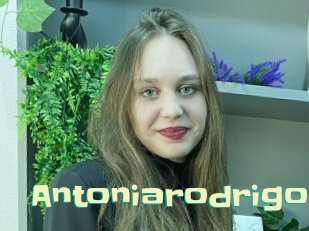 antoniarodrigo Wanna Meet
