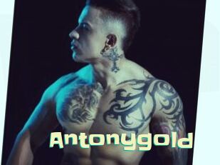 Antonygold