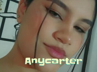 anycarter Wanna Meet