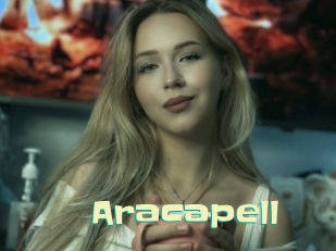 aracapell Wanna Meet