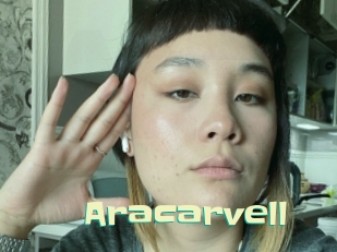 aracarvell Wanna Meet