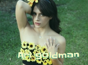 Ari_goldman