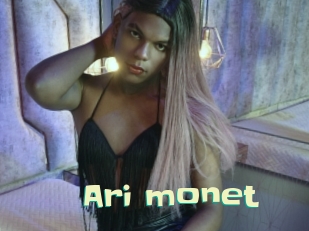 Ari_monet