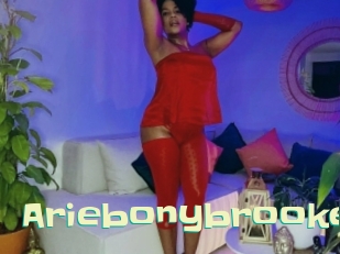 ariebonybrooke Wanna Meet