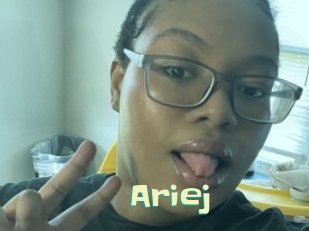 ariej Wanna Meet