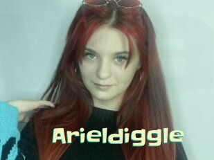 Arieldiggle