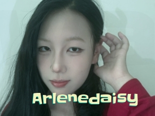 Arlenedaisy