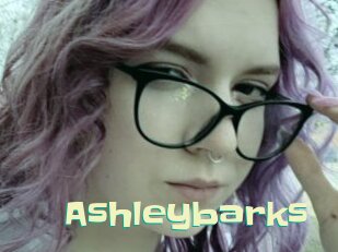 Ashleybarks