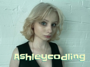 Ashleycodling
