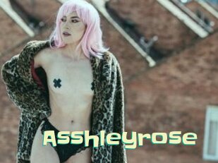 Asshleyrose