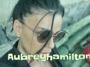 aubreyhamilton Wanna Meet