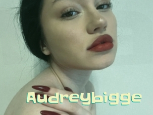 Audreybigge