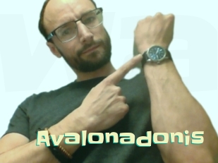 Avalonadonis