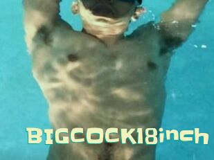 BIGCOCK18inch