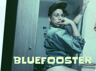 BLUEFOOSTER