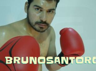 BRUNOSANTORO