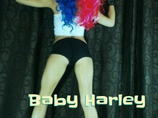 Baby_Harley