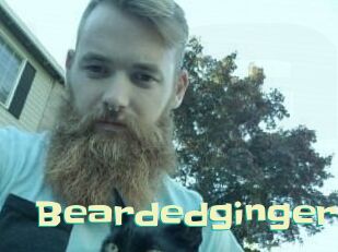 Beardedginger