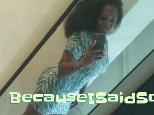 BecauseISaidSo