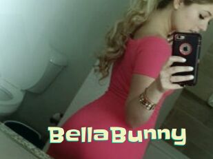 BellaBunny Wanna Meet