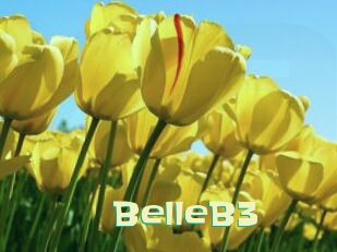 BelleB3