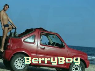 BerryBoy