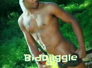 BidDjiggle