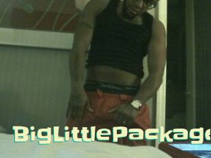 BigLittlePackage