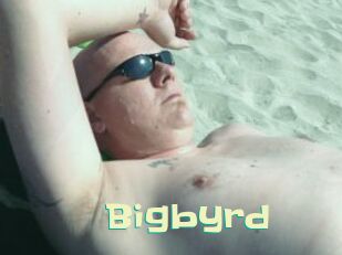 Bigbyrd