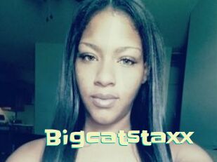 Bigcatstaxx