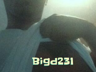 Bigd231