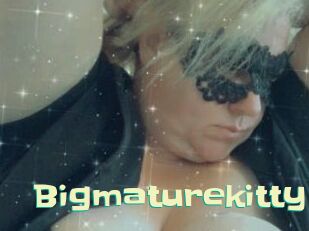 Bigmaturekitty