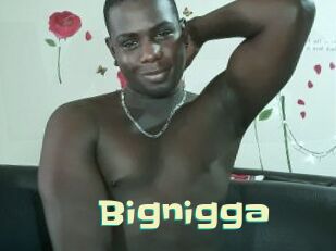 Bignigga