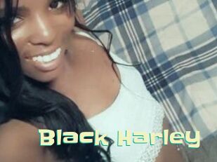 Black_Harley Wanna Meet