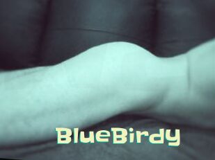 BlueBirdy