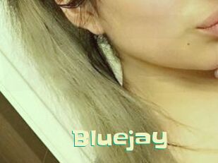 Blue_jay