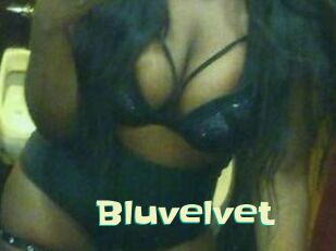 Bluvelvet