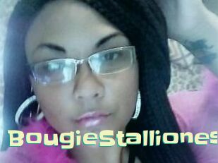BougieStallionest Wanna Meet